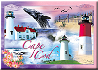 Cape Cod